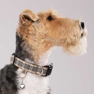 Standard Dog Collar with sewn-in tab for dog I.D. tag