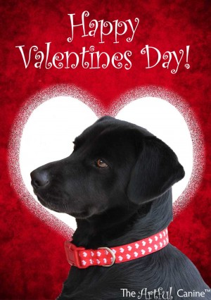 Valentine's Day with your Dog