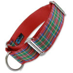 1.5" Wide Martingale Collar for greyhounds