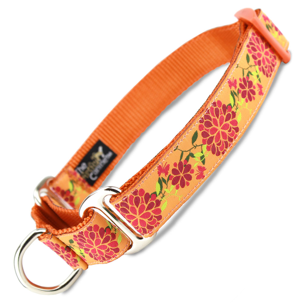Martingale Collars for Small Dogs The Artful Canine Blog