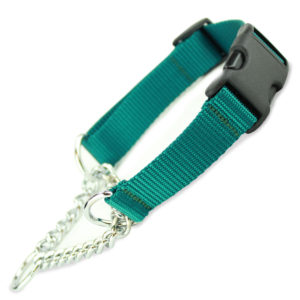 chain martingale collar with buckle