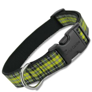 Buckle Dog Collar