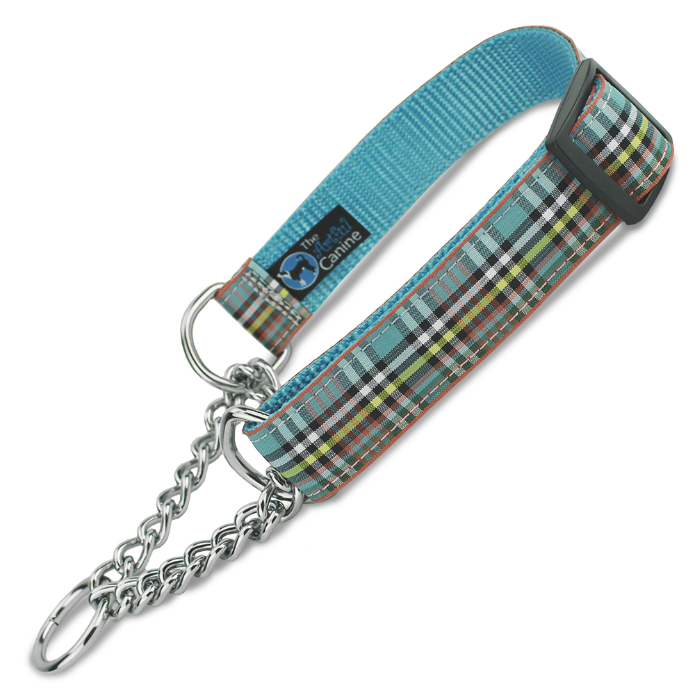 martingale collar with chain loop (1/2 check)